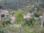 Beget