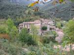 Beget